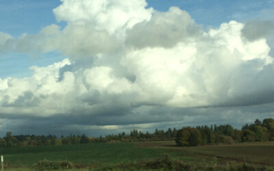 Inspiration: Adapting to Our Environments