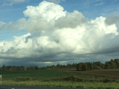 Inspiration: Adapting to Our Environments
