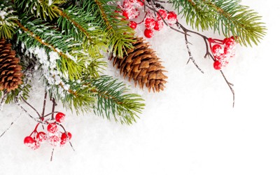 Inspiration: Giving Without Expectation