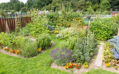 Ancestral Skills: 5 Benefits to Gardening