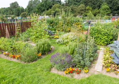 Ancestral Skills: 5 Benefits to Gardening