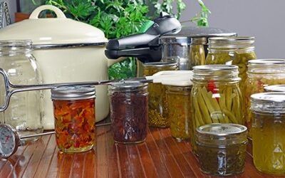 Ancestral Skills: Harvesting Your Garden for the Winter