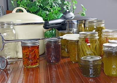 Ancestral Skills: Harvesting Your Garden for the Winter