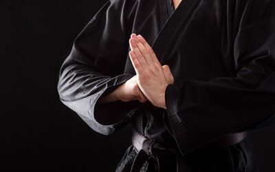 Inspiration: Fighting the Good Fight