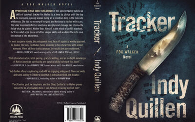 Writing Tip: Indie Publishing—The Home Stretch