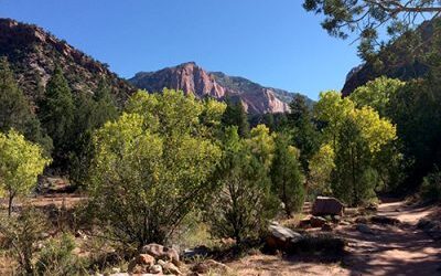 Camping / Bushcraft: 5 Health Benefits of Being Outside in Nature