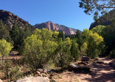 Camping / Bushcraft: 5 Health Benefits of Being Outside in Nature