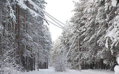 Preparedness: How to Keep Warm During a Power Outage – With What You Have on Hand
