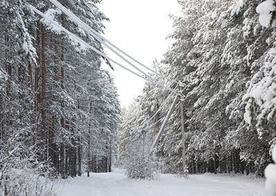 Preparedness: How to Keep Warm During a Power Outage – With What You Have on Hand