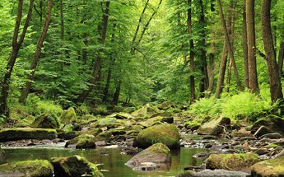 Writing Tip: How to Write Realistic Outdoor Scenes