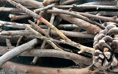 Camping / Bushcraft: Fire Starters – Natural and Simple Household Items
