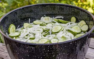 Ancestral Skills: Foods Made From Scratch / Pickled Cucumbers & Onions