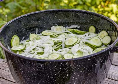 Ancestral Skills: Foods Made From Scratch / Pickled Cucumbers & Onions